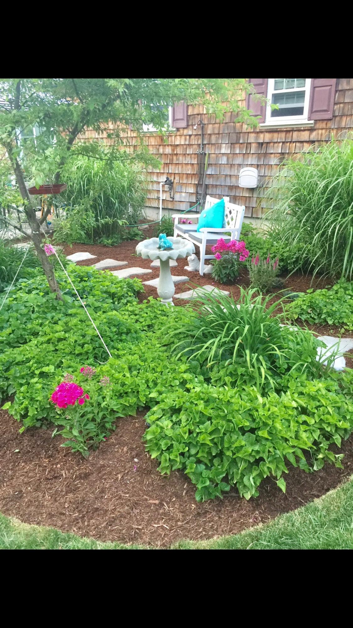 57 Anchor Lane Cotuit, MA 02635 - Photo 28 of 29 a view of outdoor space and yard