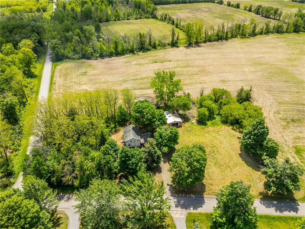 17156 Ladue Road Clarendon, NY 14470 - Photo 4 of 41