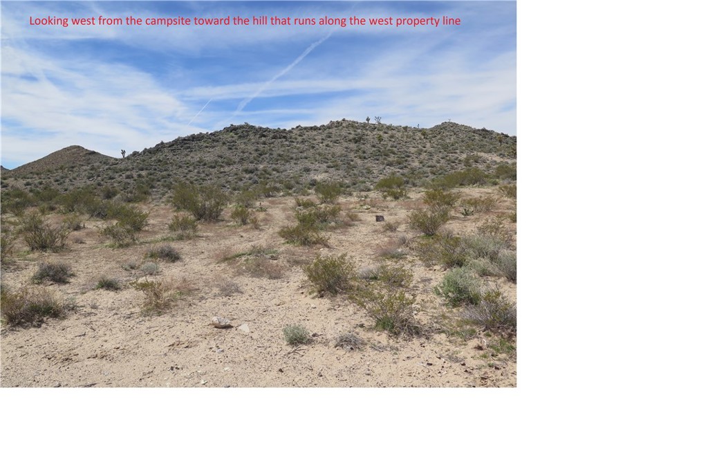 0 Excelsior Mine Road Nipton, CA 92364 - Photo 13 of 17 a view of a yard