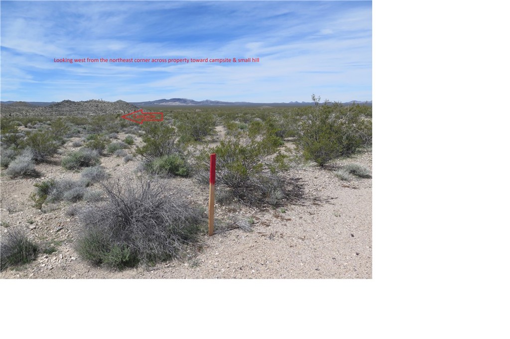 0 Excelsior Mine Road Nipton, CA 92364 - Photo 14 of 17 a view of a yard with a mountain