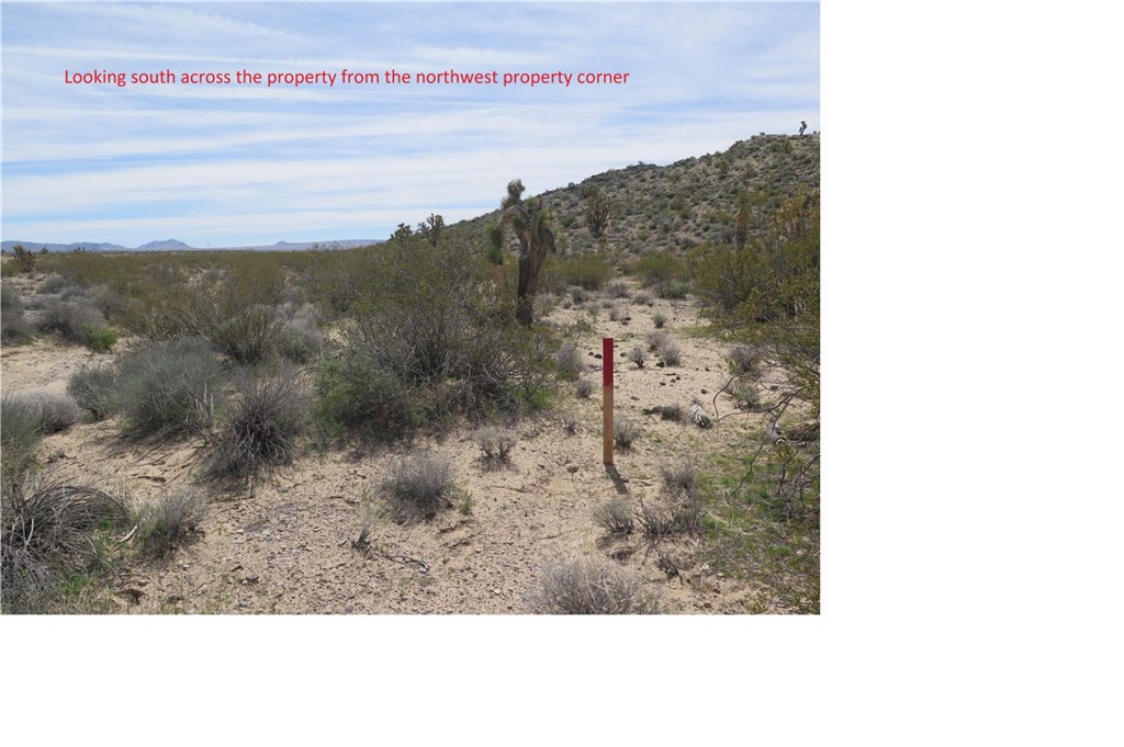 0 Excelsior Mine Road Nipton, CA 92364 - Photo 7 of 17 a picture of a floor plan