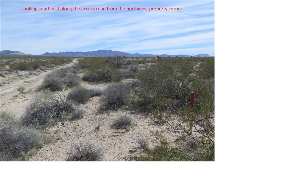 0 Excelsior Mine Road Nipton, CA 92364 - Photo 8 of 17 a view of a yard