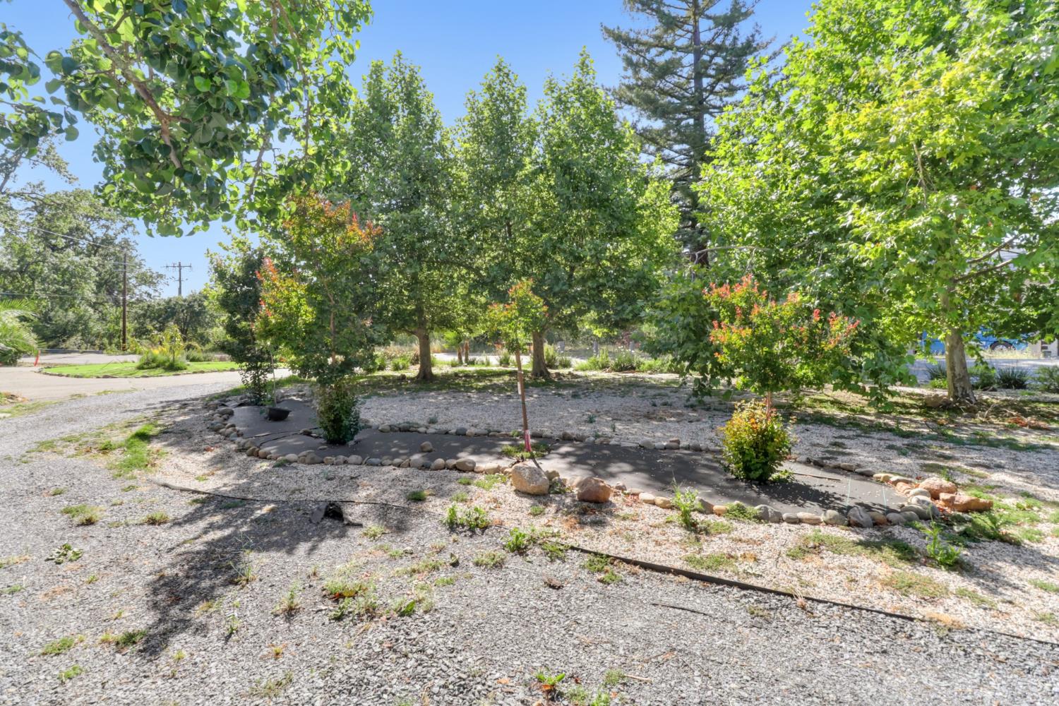 4330 Cavitt Stallman Road Granite Bay, CA 95746 - Photo 69 of 85 a view of a yard with plants and trees