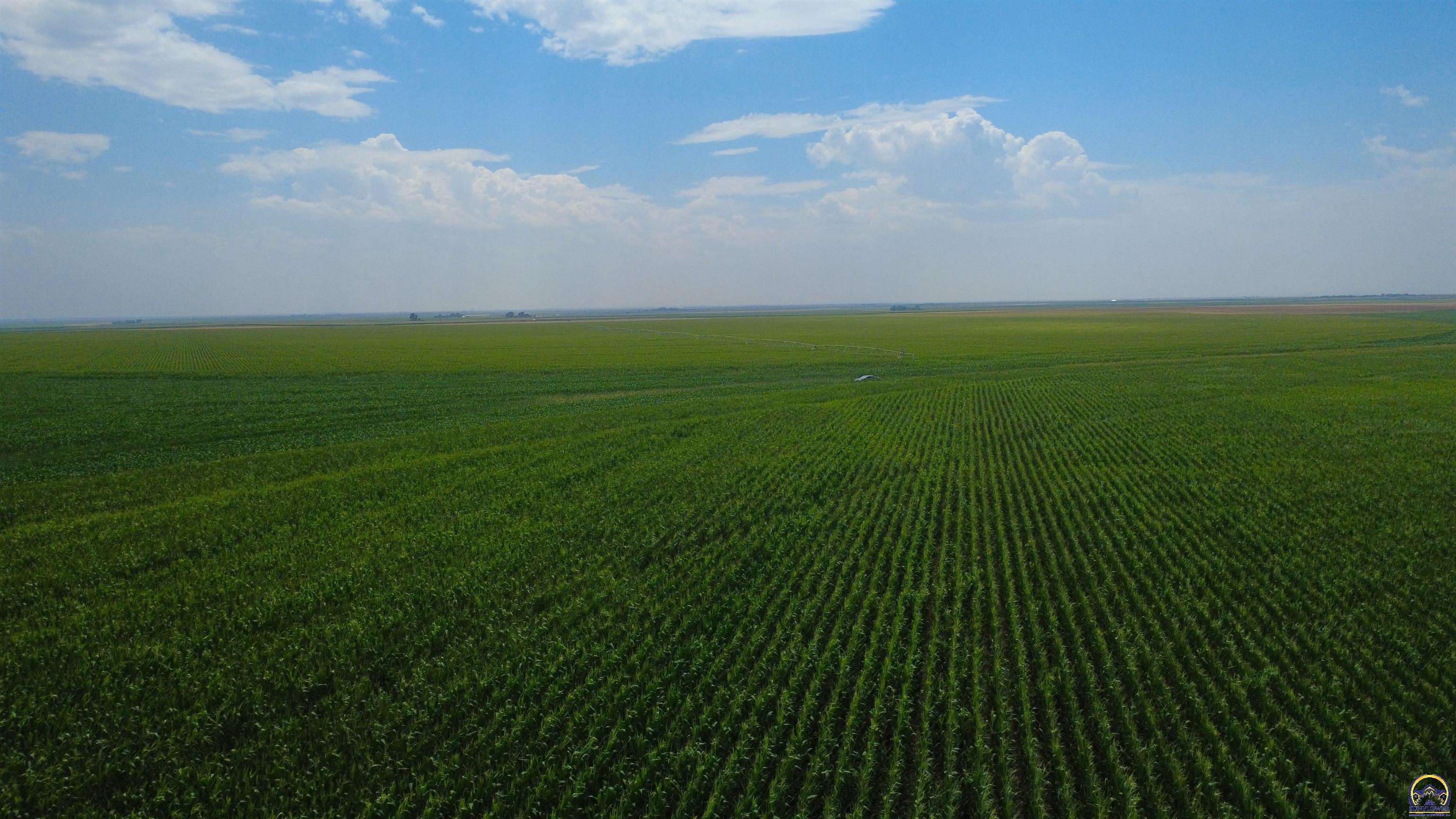 0 East Tv Road Garden City, KS 67846 - Photo 4 of 18