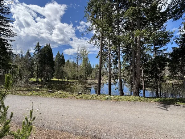 $90,000 | 54432 McKenzie Highway, Unit 40, Blue River, OR 97413