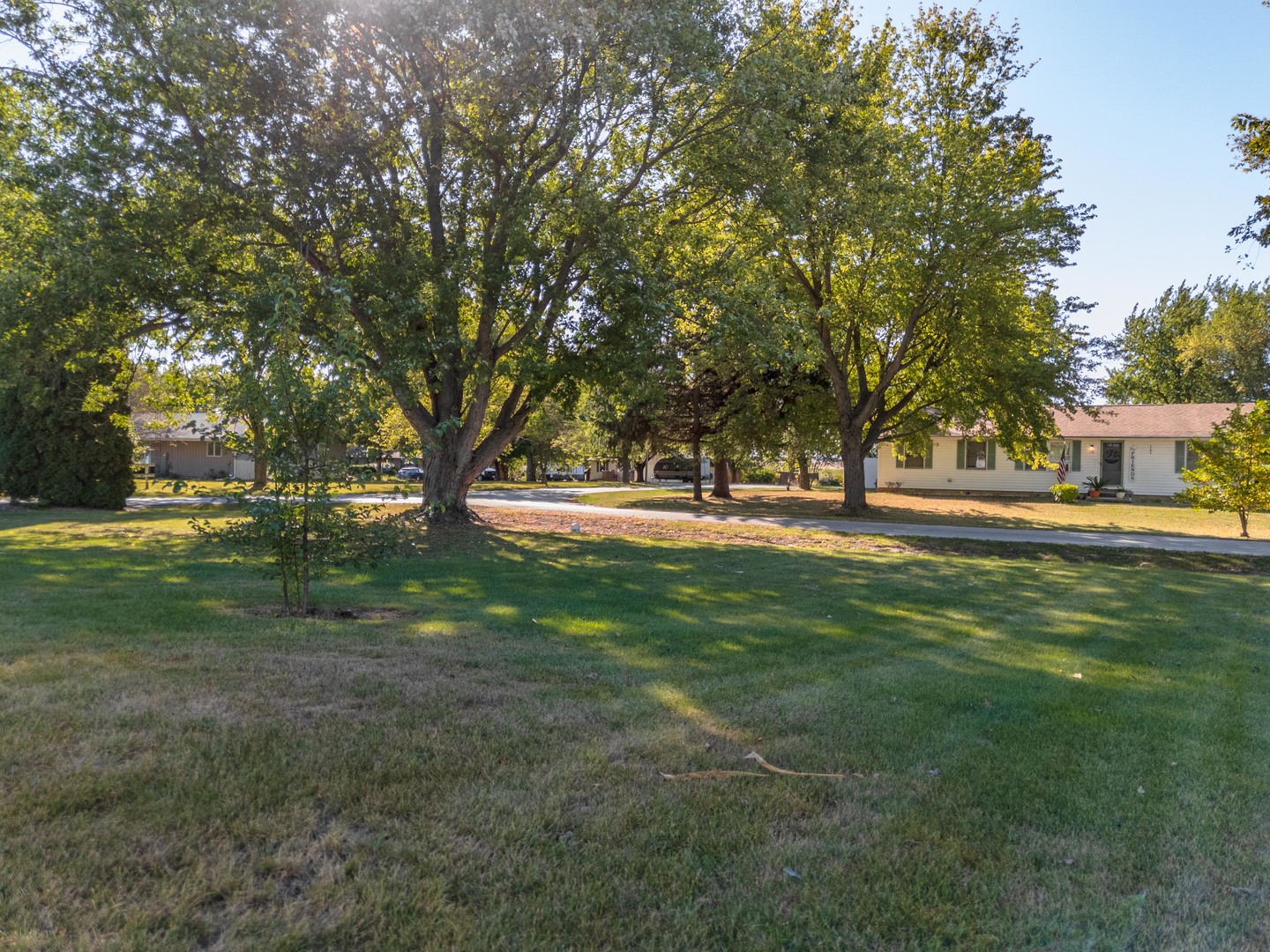 504 West Jackson Street Cullom, IL 60929 - Photo 17 of 51 a view of yard with green space and trees