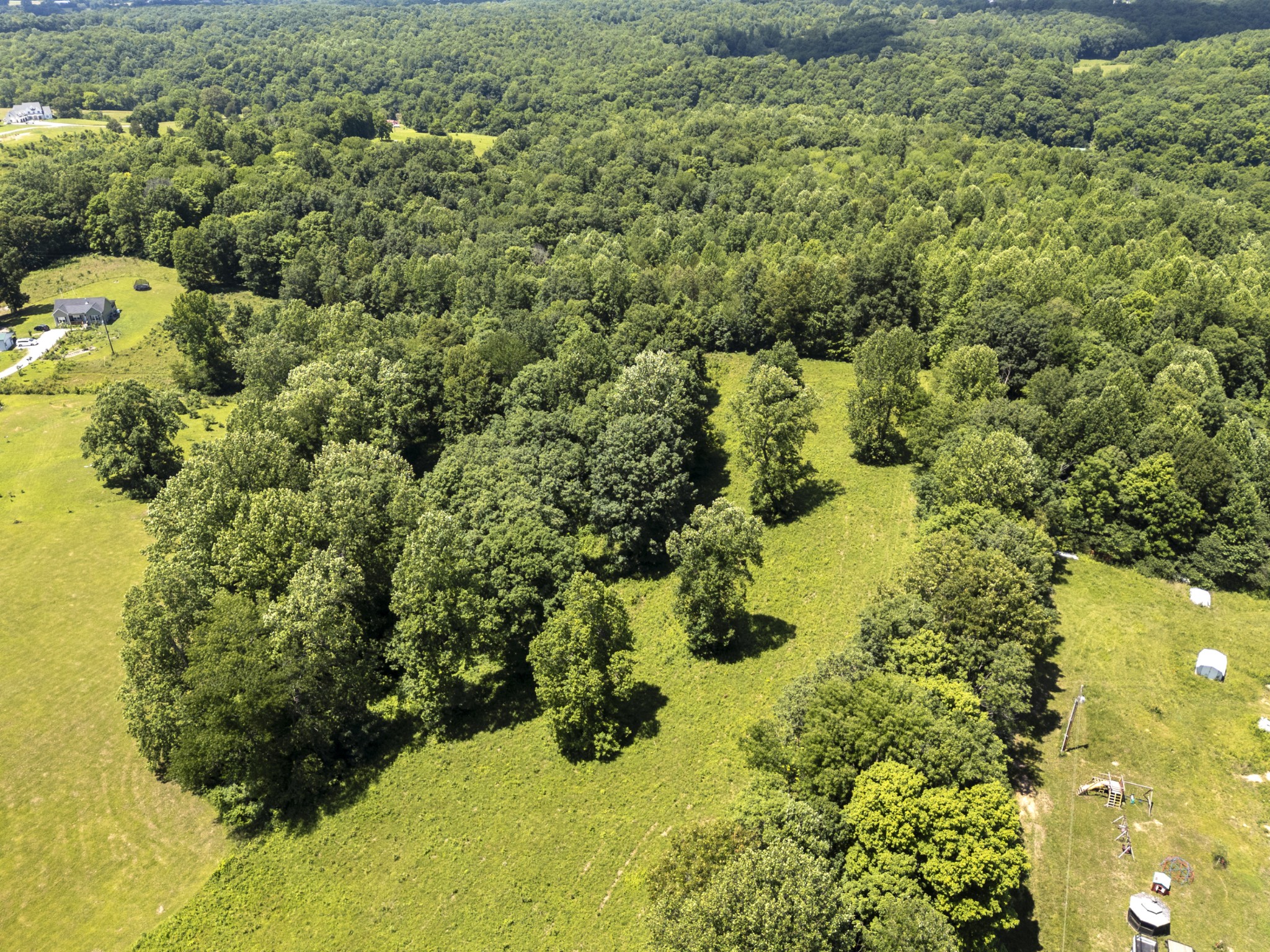 694 Nels Adams Road Dickson, TN 37055 - Photo 53 of 57