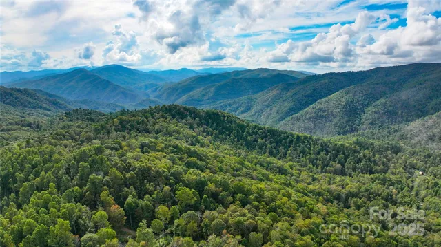 a view of a lush green mountain