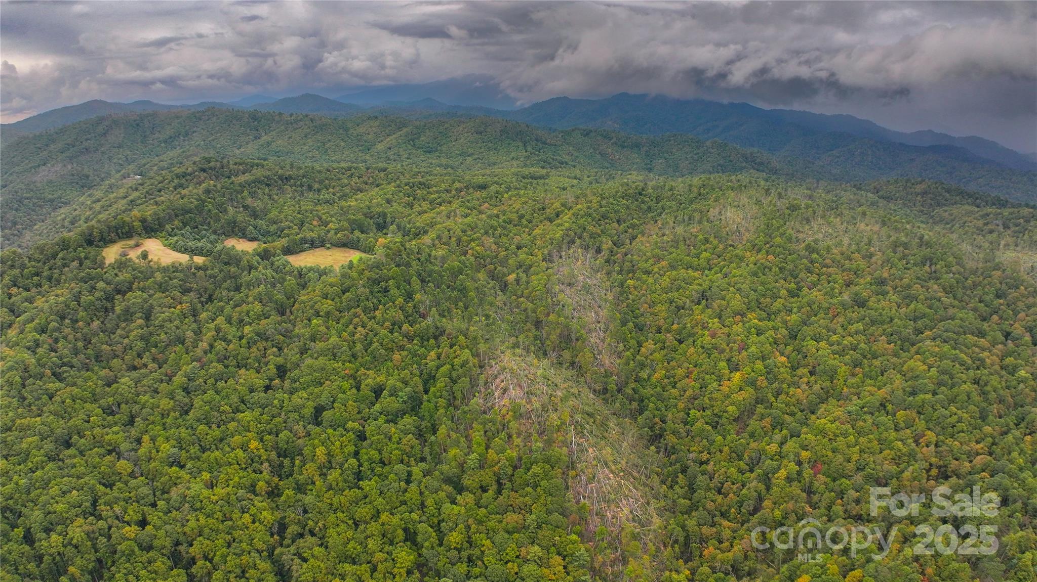 999 Poplar Creek Road Green Mountain, NC 28740 - Photo 12 of 15 a view of a outdoor space