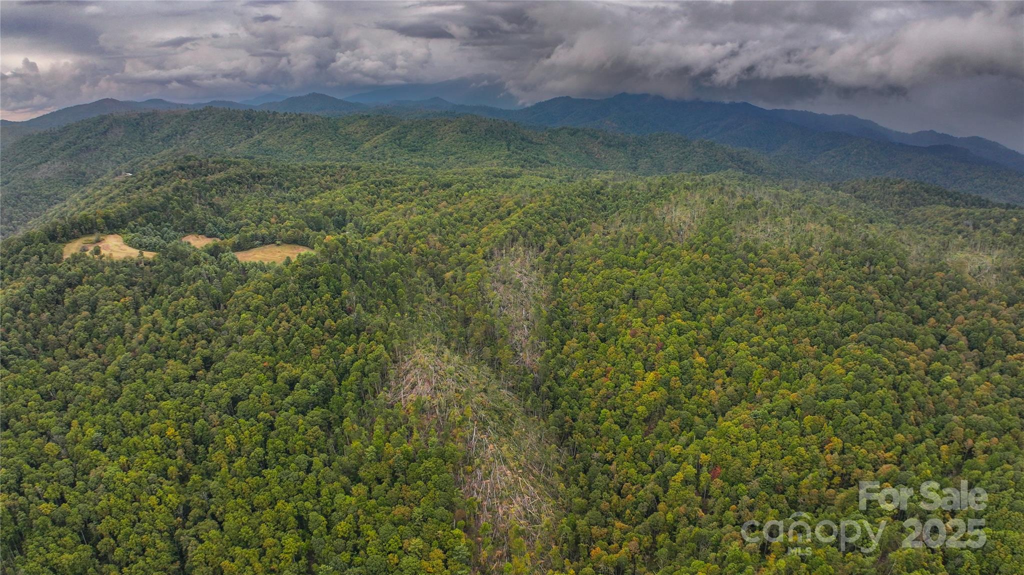 999 Poplar Creek Road Green Mountain, NC 28740 - Photo 13 of 15 a view of a field