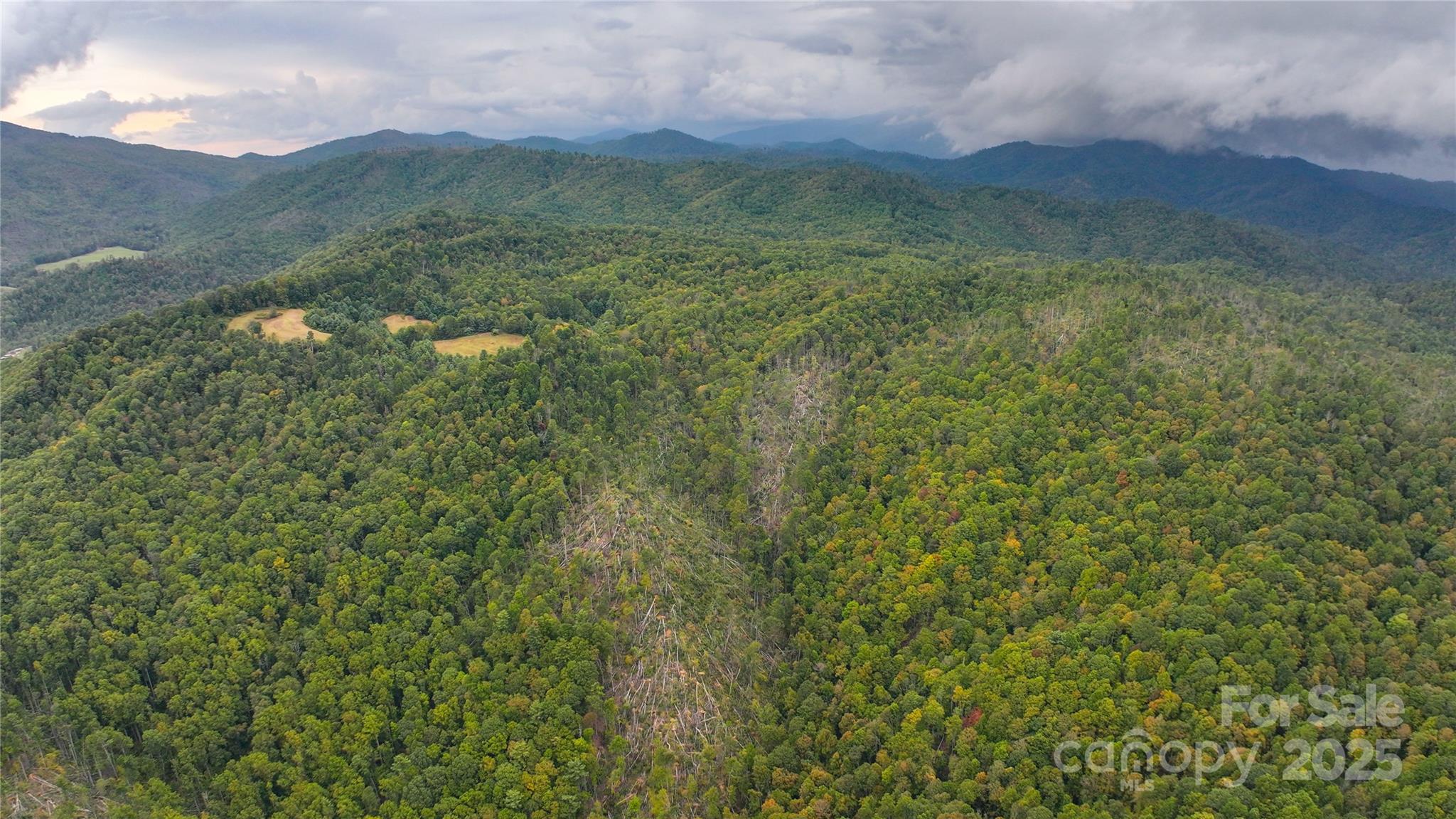 999 Poplar Creek Road Green Mountain, NC 28740 - Photo 14 of 15 a view of a lush green forest with a mountain