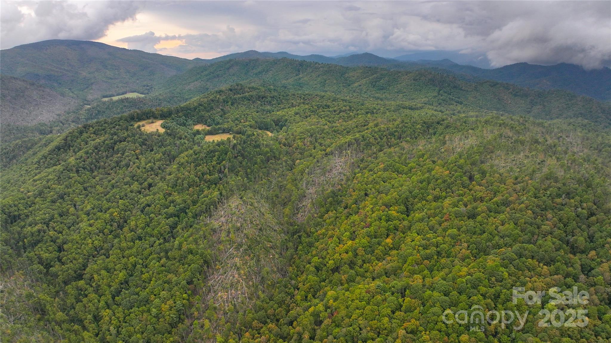 999 Poplar Creek Road Green Mountain, NC 28740 - Photo 15 of 15 a view of outdoor space and mountain view