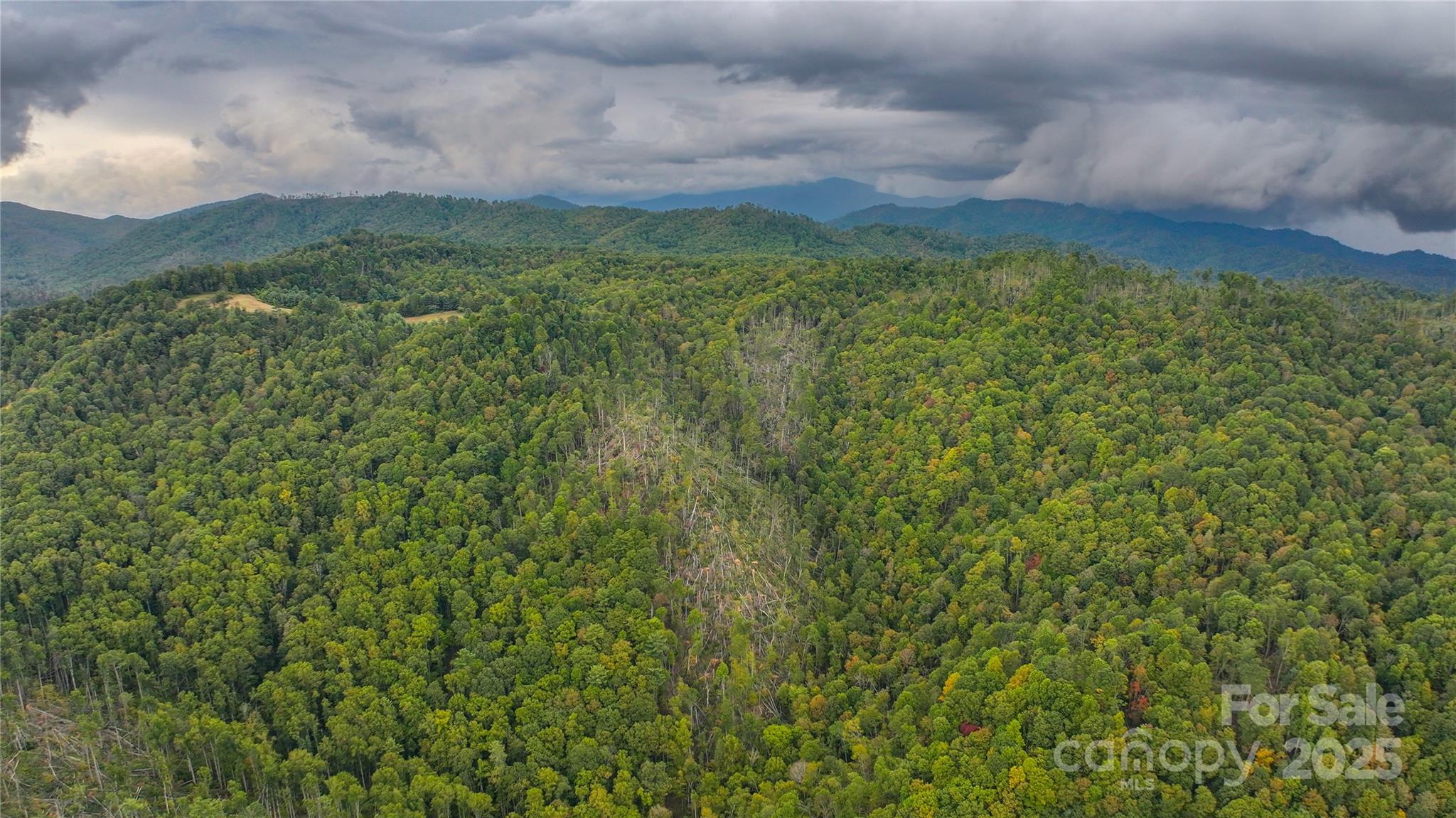 999 Poplar Creek Road Green Mountain, NC 28740 - Photo 2 of 15 a view of a big yard with lots of green space