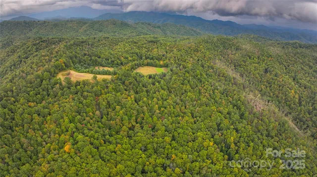 a view of a lake with a mountain in the background