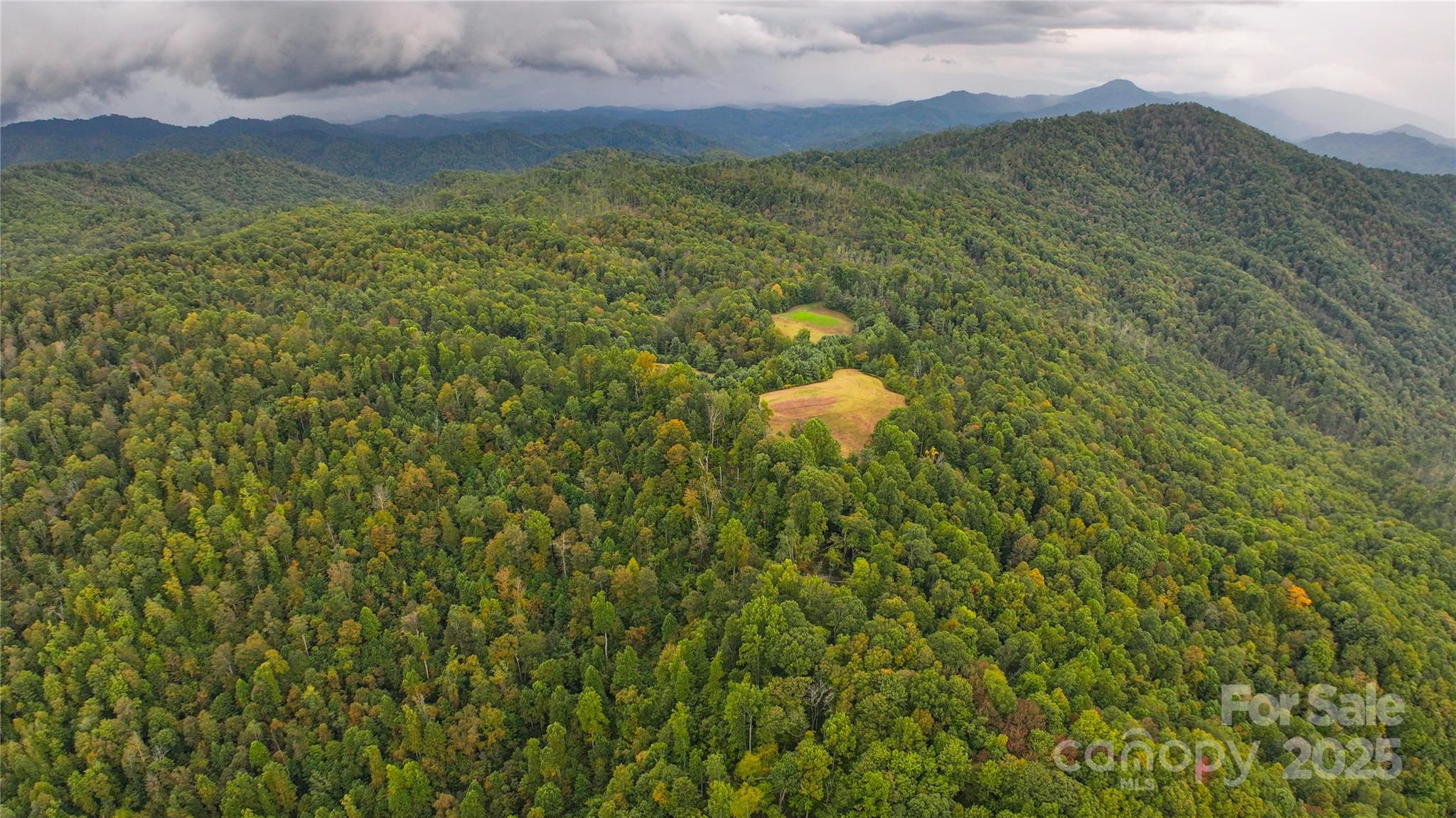 999 Poplar Creek Road Green Mountain, NC 28740 - Photo 4 of 15 a view of a green yard