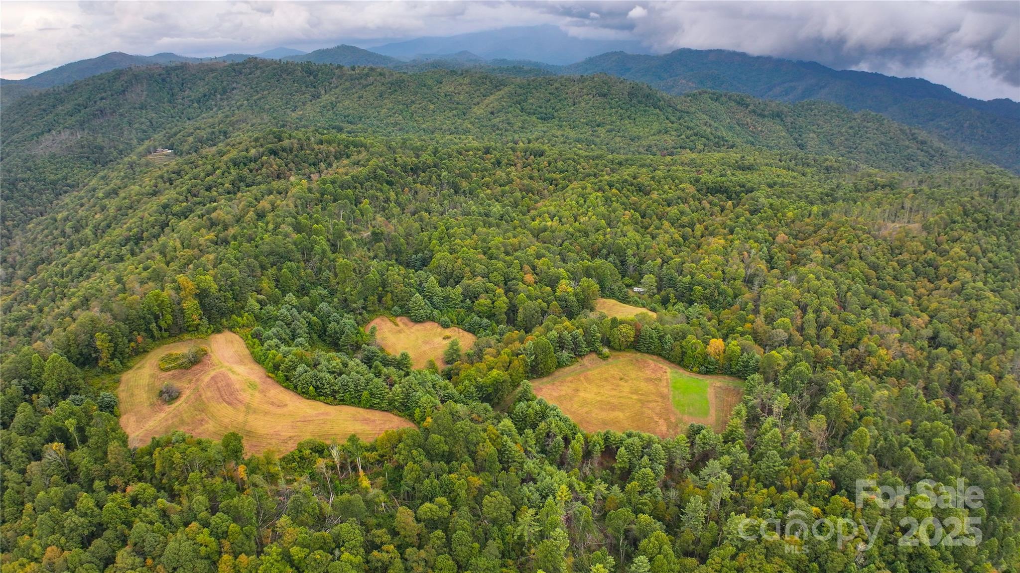 999 Poplar Creek Road Green Mountain, NC 28740 - Photo 5 of 15