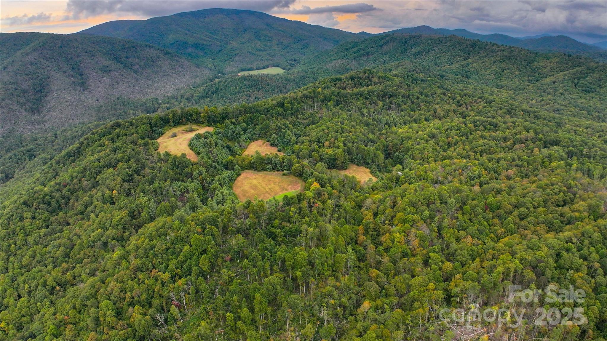 999 Poplar Creek Road Green Mountain, NC 28740 - Photo 6 of 15 a view of a lush green forest with trees and some houses