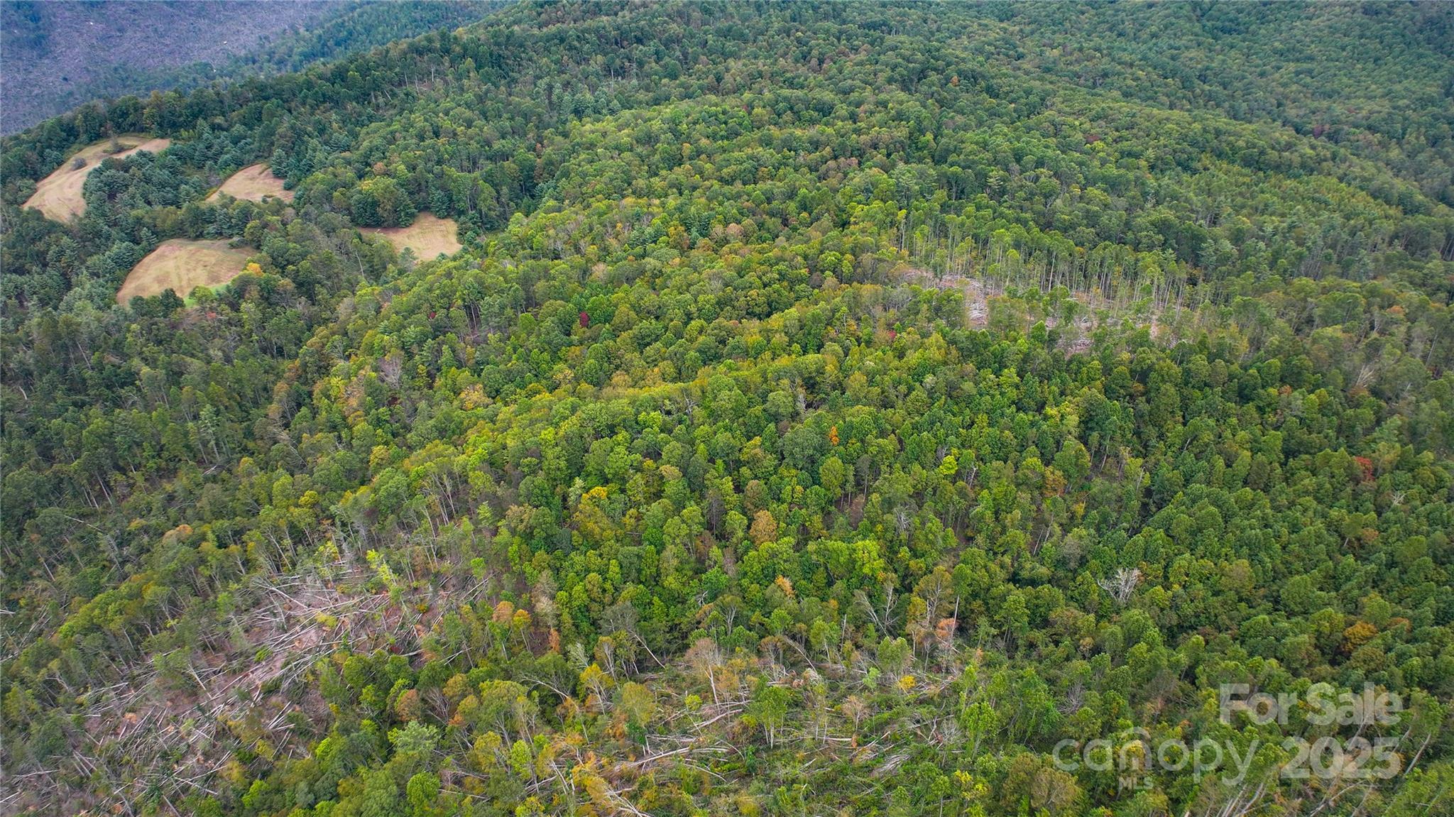 999 Poplar Creek Road Green Mountain, NC 28740 - Photo 8 of 15