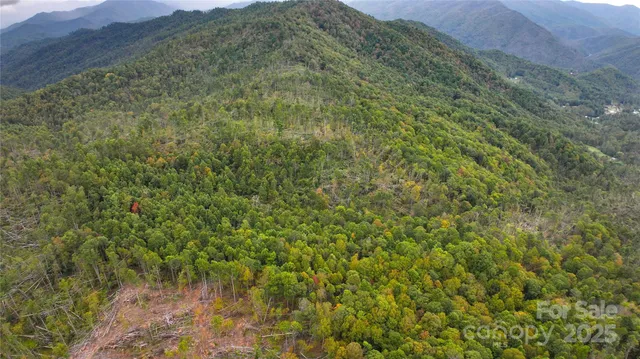 a view of a big yard of a house with a yard