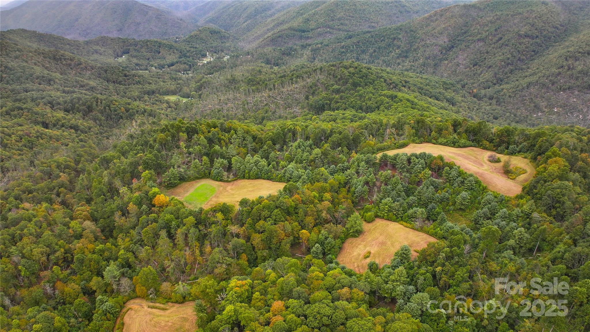 999 Poplar Creek Road Green Mountain, NC 28740 - Photo 10 of 15 a view of a bunch of trees and bushes