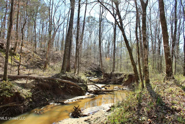 $120,400 | 3225 Cr Kosciusko Ms 39090, West, MS 39192