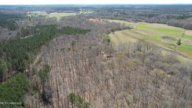 $120,400 | 3225 Cr Kosciusko Ms 39090, West, MS 39192