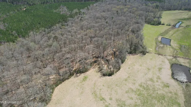 $120,400 | 3225 Cr Kosciusko Ms 39090, West, MS 39192