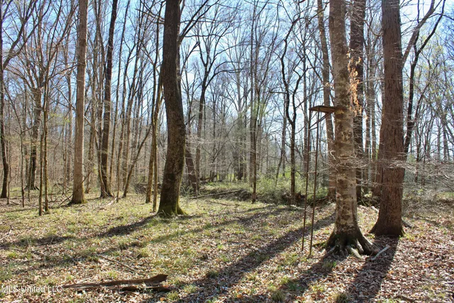 $120,400 | 3225 Cr Kosciusko Ms 39090, West, MS 39192