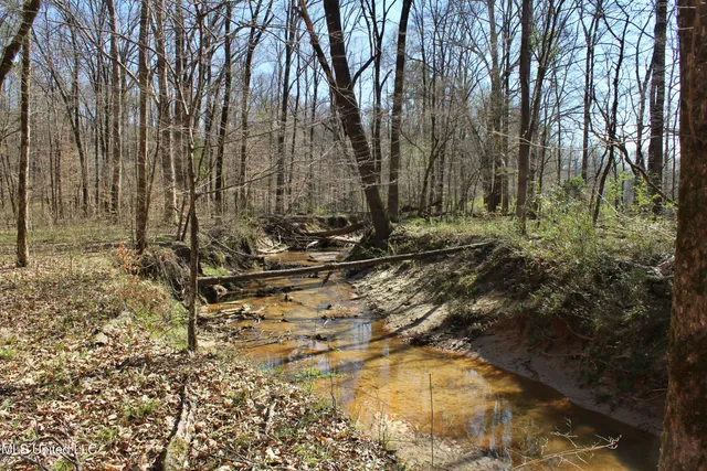 $120,400 | 3225 Cr Kosciusko Ms 39090, West, MS 39192