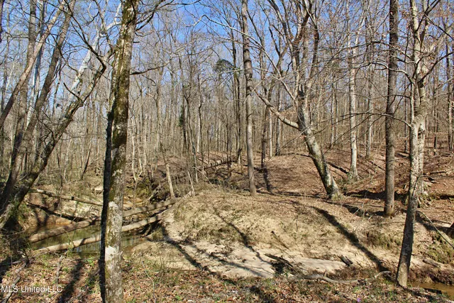 $120,400 | 3225 Cr Kosciusko Ms 39090, West, MS 39192