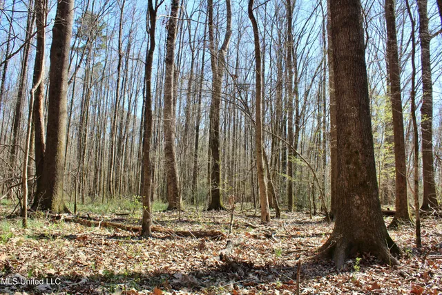 $120,400 | 3225 Cr Kosciusko Ms 39090, West, MS 39192