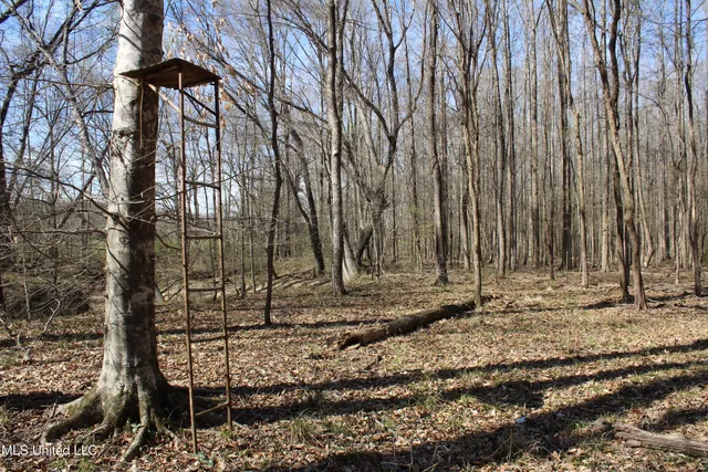 $120,400 | 3225 Cr Kosciusko Ms 39090, West, MS 39192