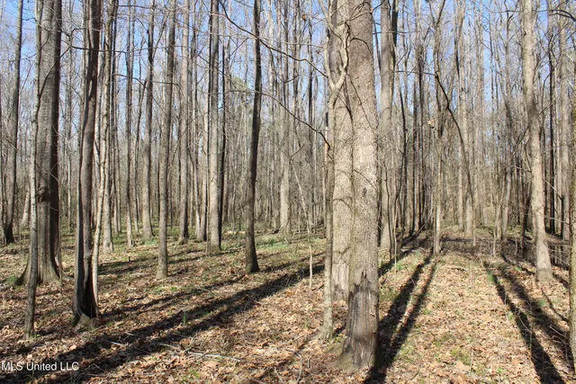 $120,400 | 3225 Cr Kosciusko Ms 39090, West, MS 39192