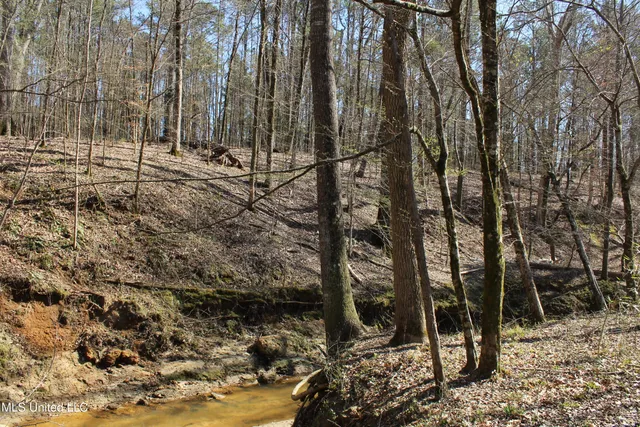 $120,400 | 3225 Cr Kosciusko Ms 39090, West, MS 39192