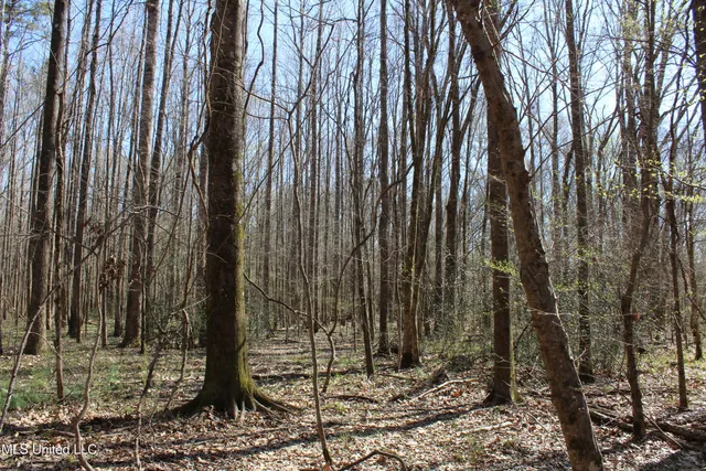 $120,400 | 3225 Cr Kosciusko Ms 39090, West, MS 39192