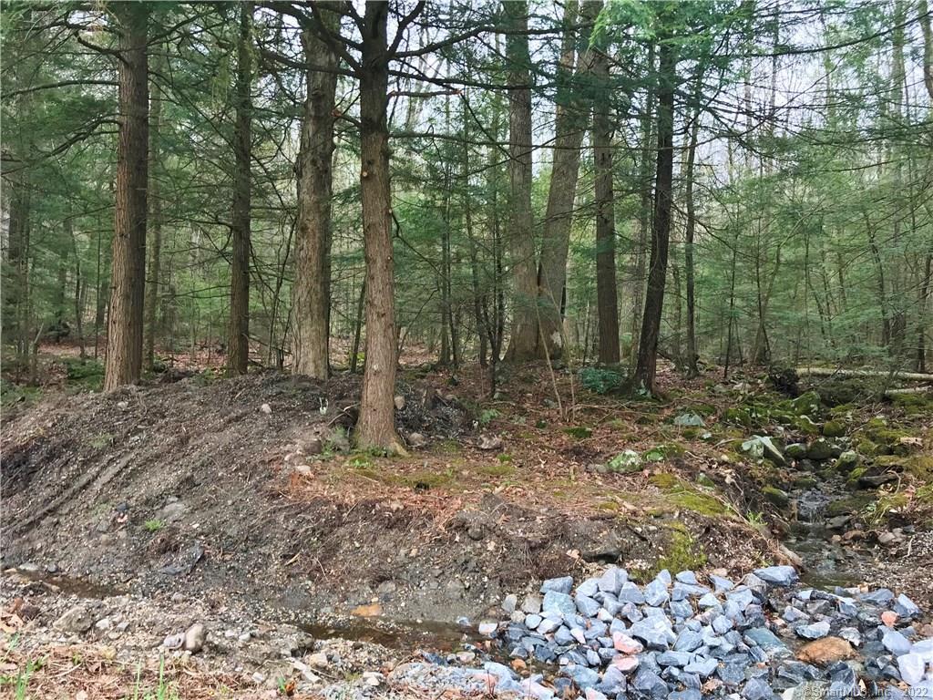 393 Winchester Road Winchester, CT 06098 - Photo 1 of 5 a view of a forest with trees in the background