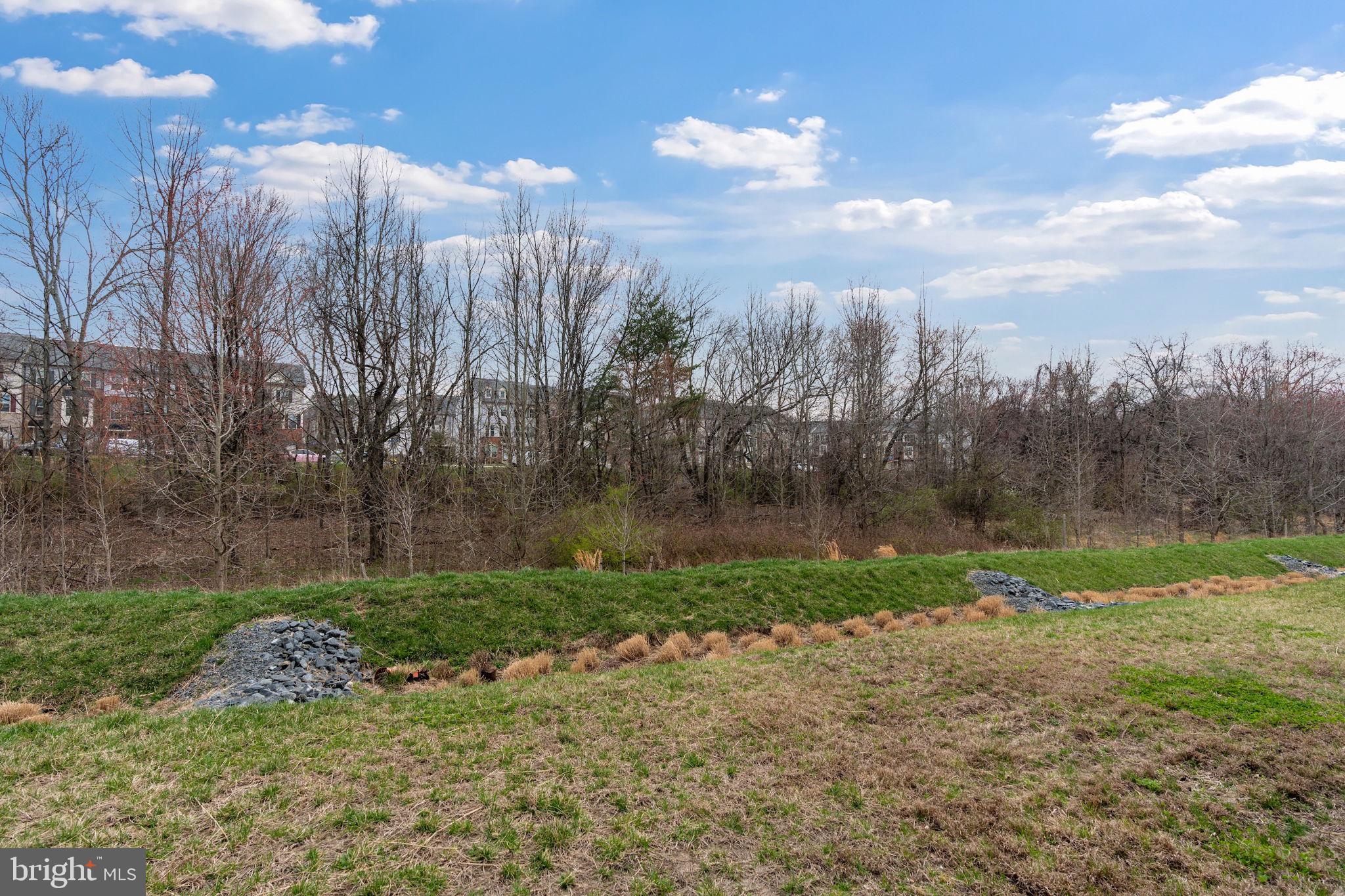 7904 Brandy Station Road Hanover, MD 21076 - Photo 40 of 49 Backyard *facing the trees*