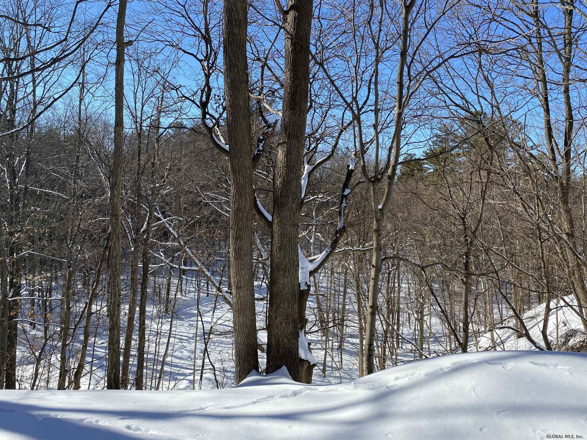 365 Stage Road Ballston Lake, NY 12019 - Photo 6 of 41 Photo 6