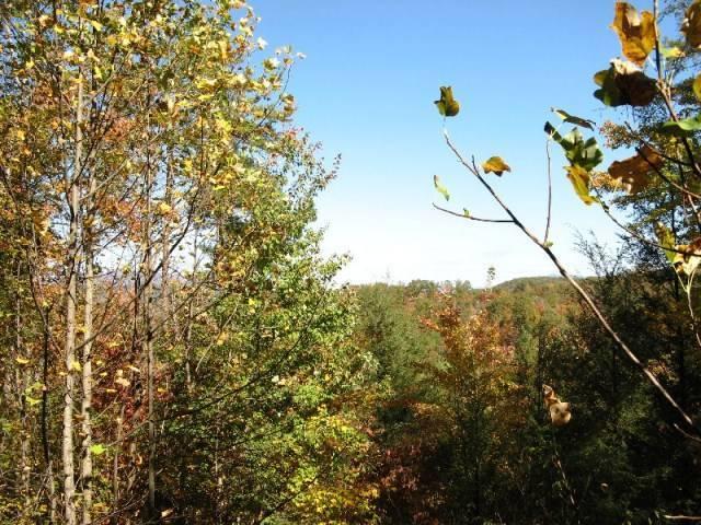 4136 Evans Chapel Road Sevierville, TN 37876 - Photo 2 of 20 5