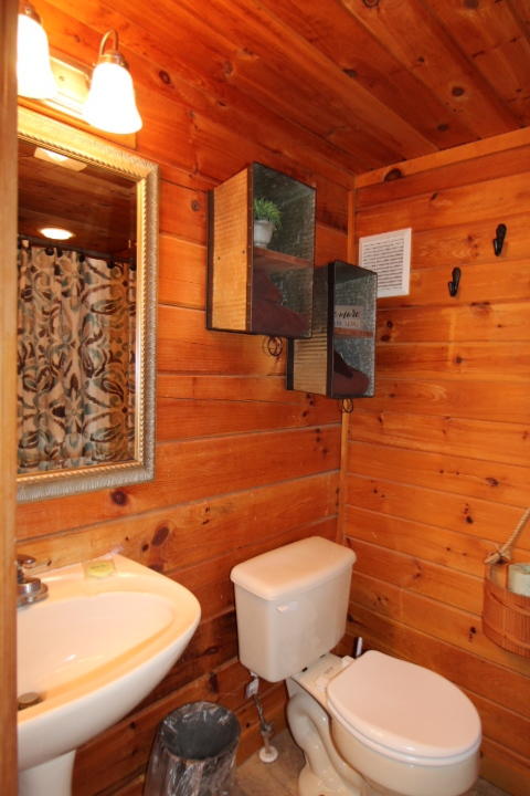 4136 Evans Chapel Road Sevierville, TN 37876 - Photo 8 of 20 12