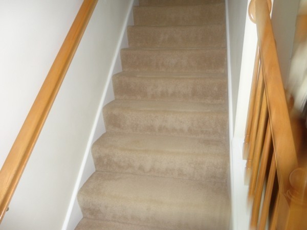 7 Carroll Manor Road, Unit 2 Grafton, MA 01536 - Photo 7 of 19 Gallery Image 7