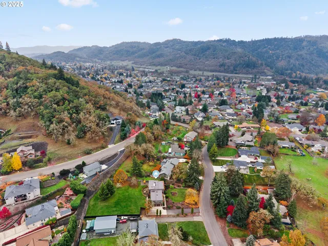 $824,900 | 413 Thora Cir Drive, Winchester, OR 97495