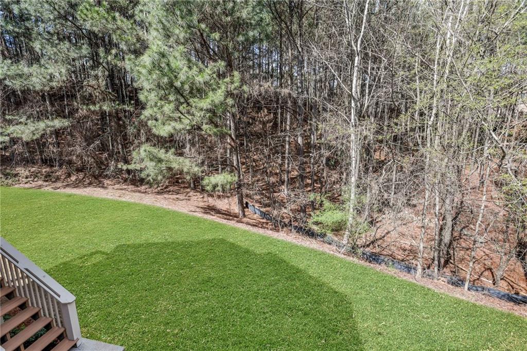 3250 Sparling Street Cumming, GA 30041 - Photo 64 of 80