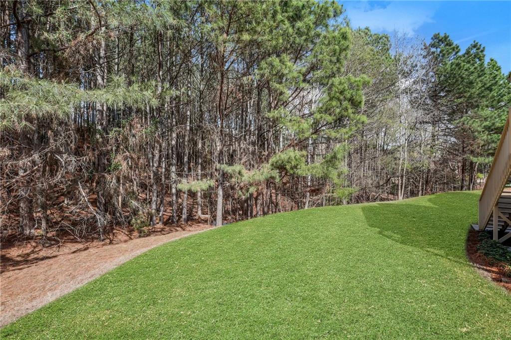 3250 Sparling Street Cumming, GA 30041 - Photo 75 of 80
