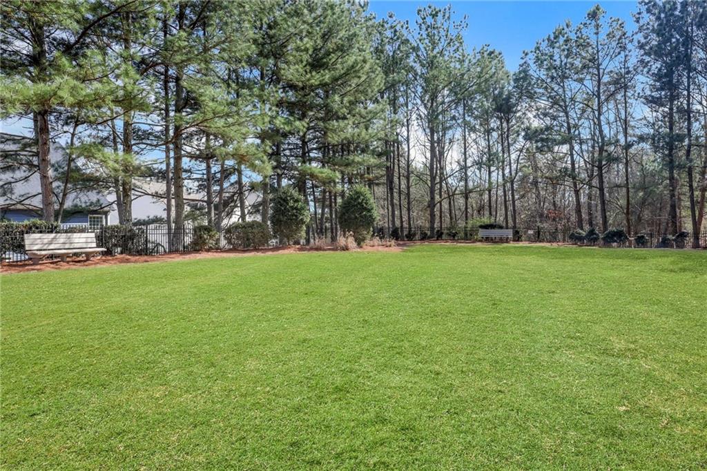 3250 Sparling Street Cumming, GA 30041 - Photo 78 of 80