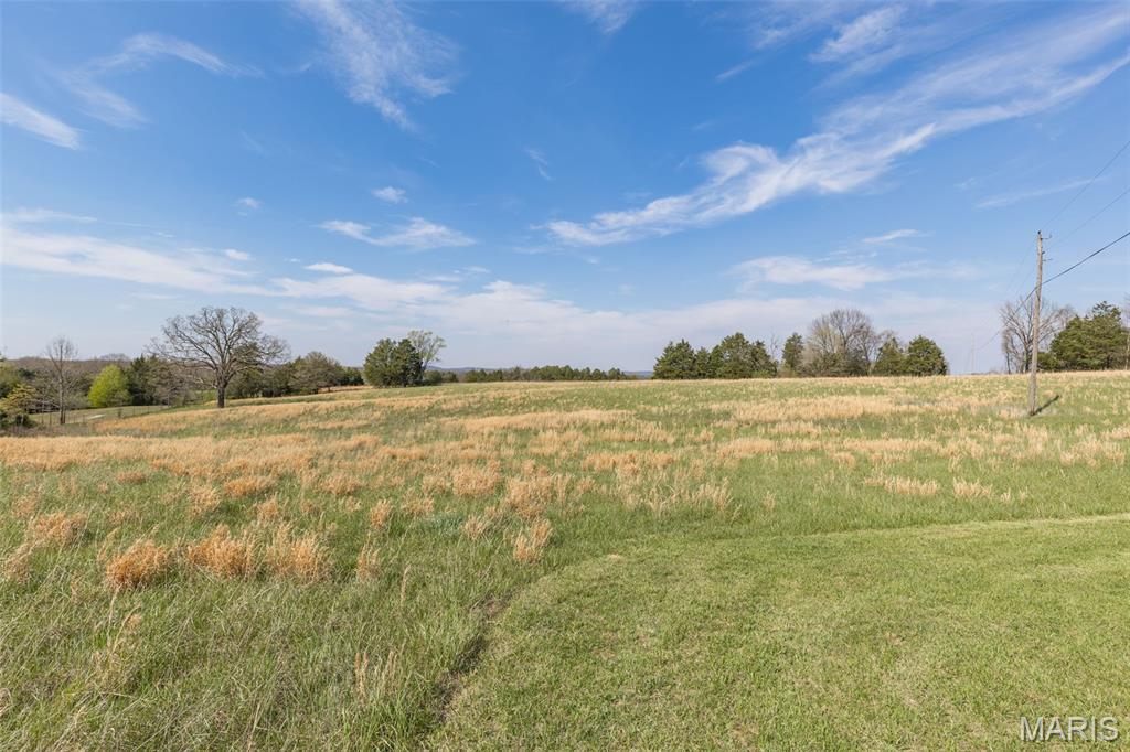 13423 Roth Road Bonne Terre, MO 63628 - Photo 35 of 54