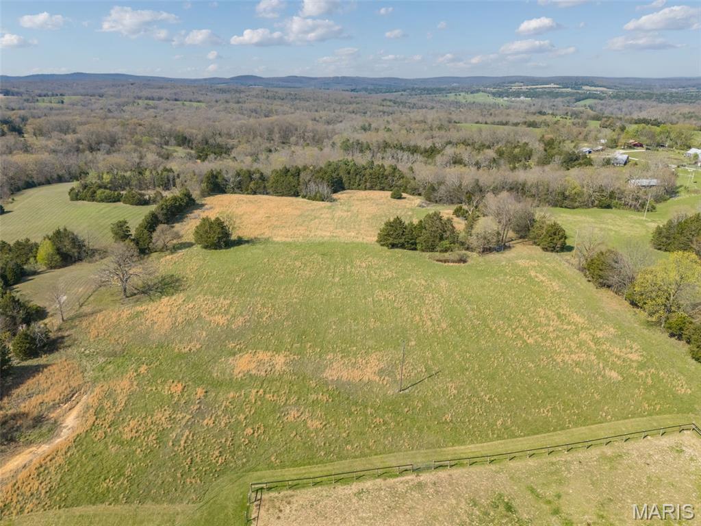 13423 Roth Road Bonne Terre, MO 63628 - Photo 42 of 54