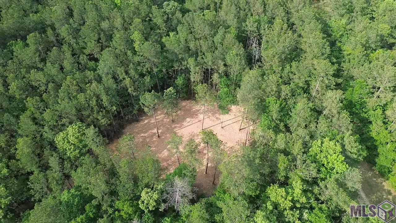 83166 Isabel Swamp Road Bush, LA 70431 - Photo 12 of 20