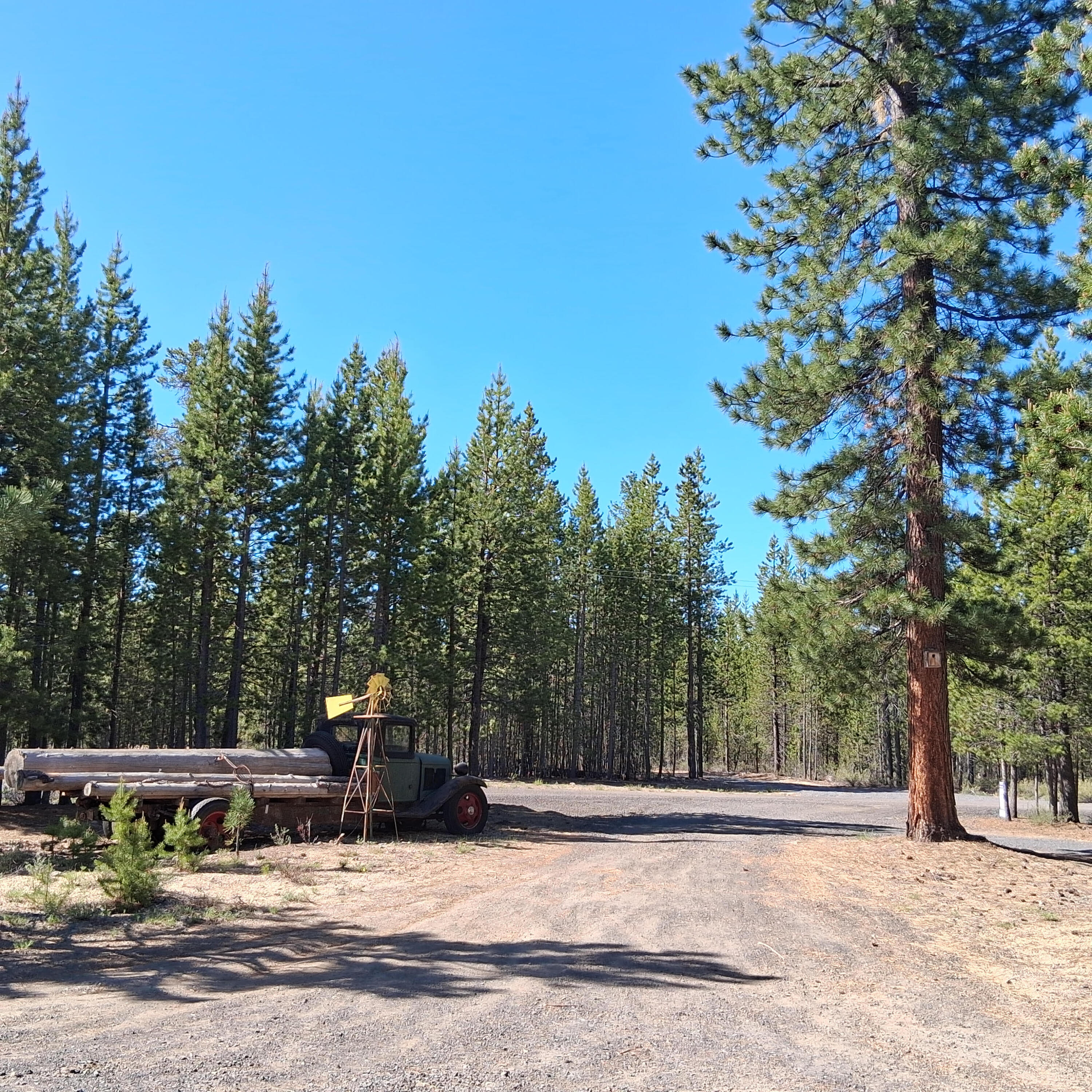 123977 Surveyor Road Crescent Lake, OR 97733 - Photo 5 of 41 a view of a house with a yard