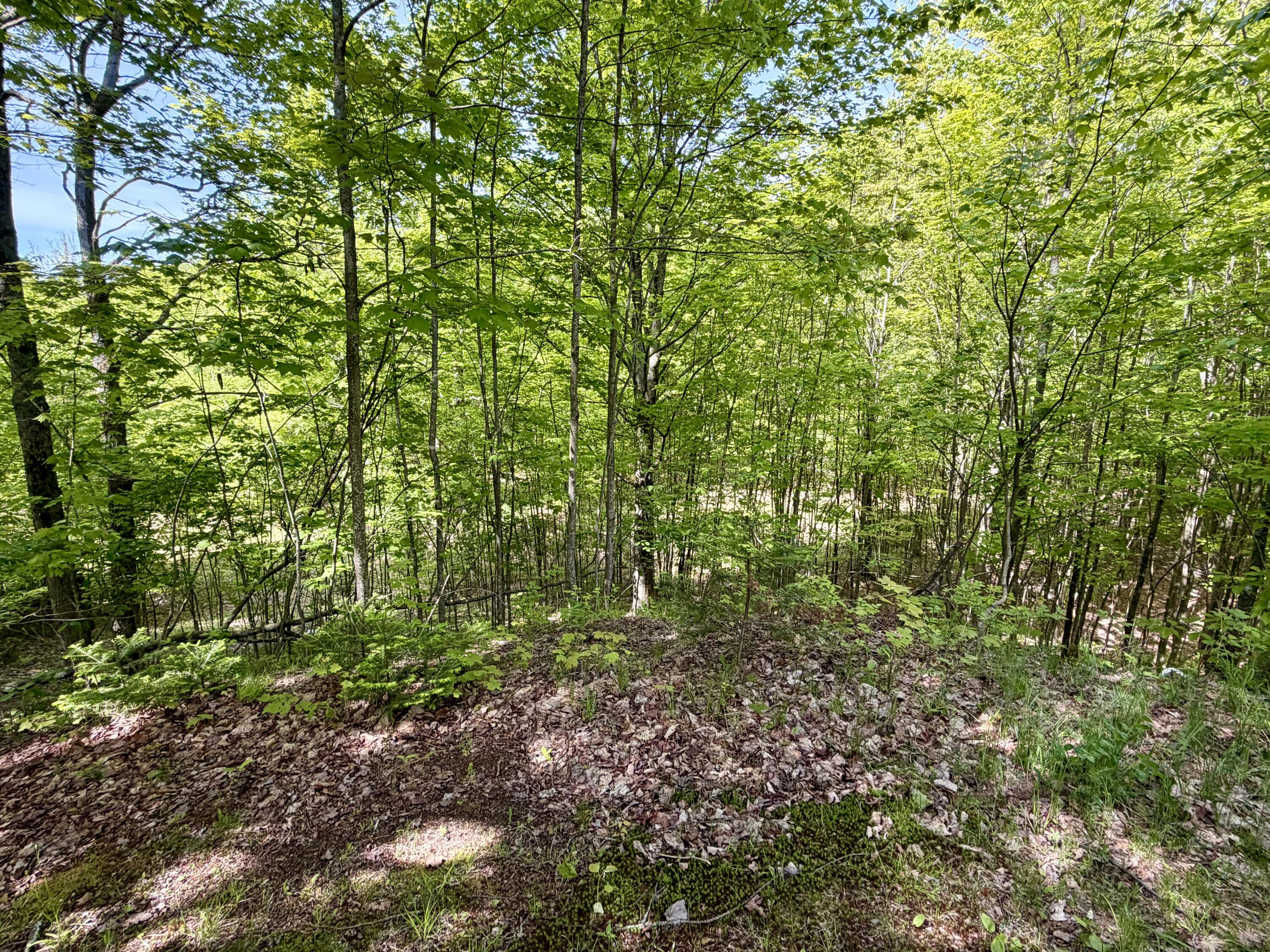 345 Brown-Benoit Road Malone, NY 12953 - Photo 37 of 41